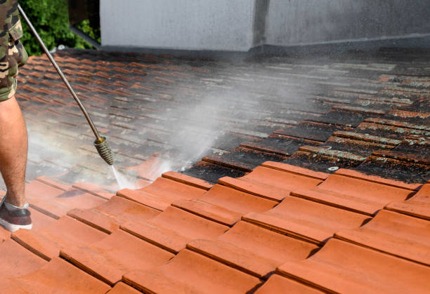 Best Roof Pressure Washing  in Badger, AK