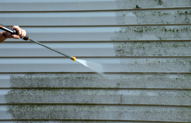 Best Affordable Pressure Washing  in Badger, AK