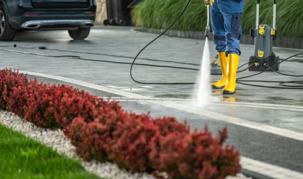 Best Residential Pressure Washing Services  in Badger, AK