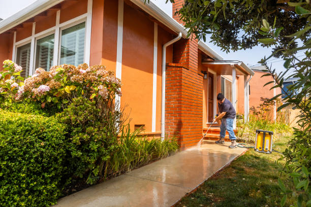 Best House Pressure Washing  in Badger, AK
