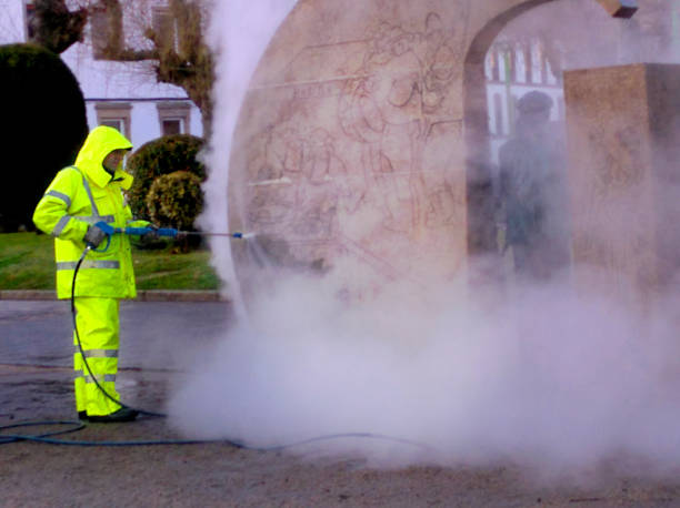 Best Power Washing Near Me  in Badger, AK