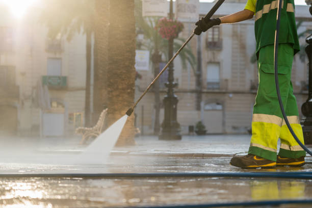 Best Roof Power Washing Services  in Badger, AK