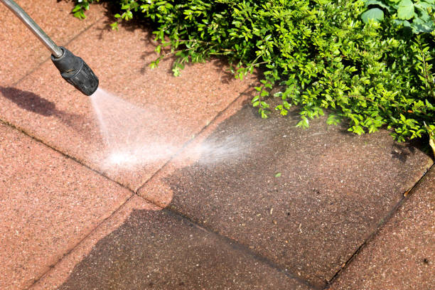 Best Local Pressure Washing Services  in Badger, AK