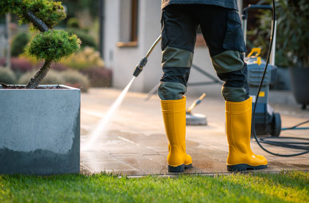 Best Roof Power Washing Services  in Badger, AK